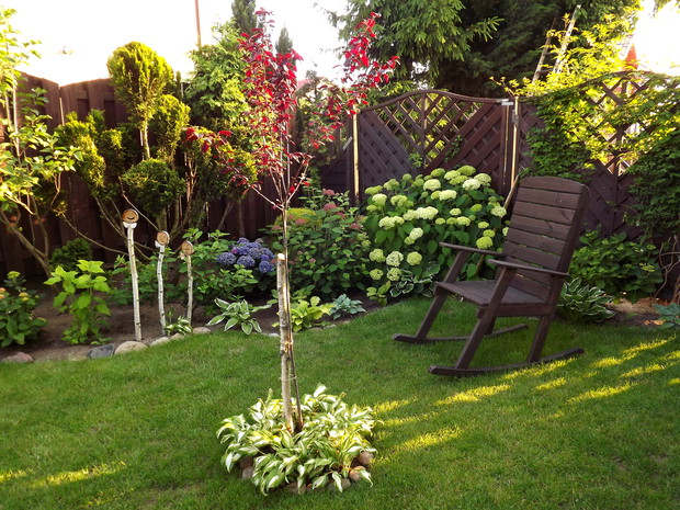  Kącik z  hortensjami