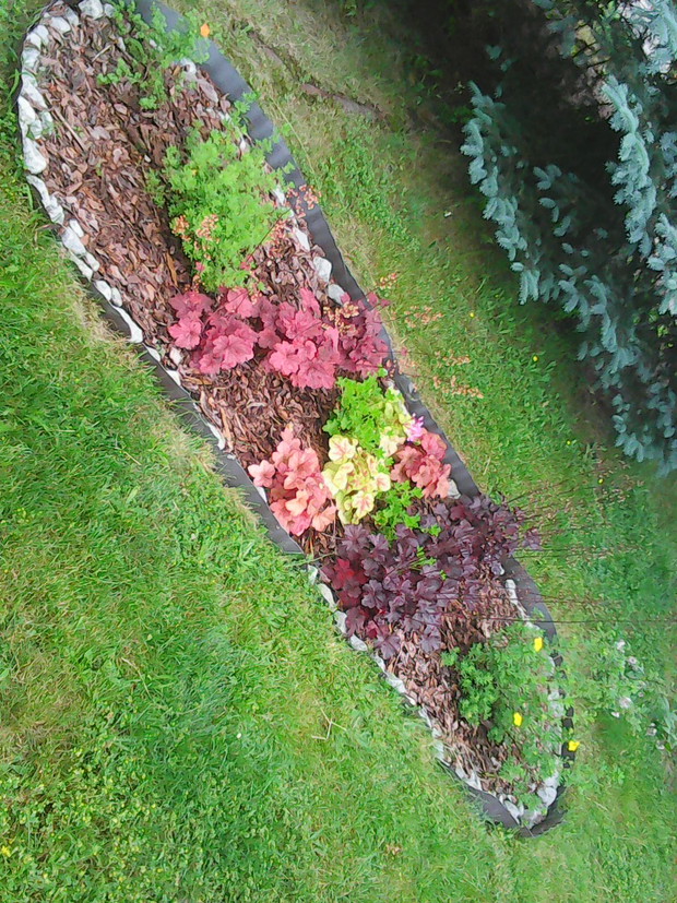 Kolekcja żurawek i pięciorników