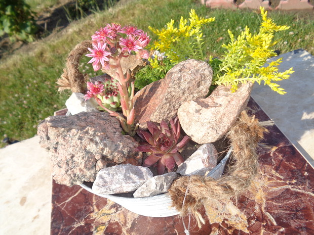 Kompozycja w metalowej wanience