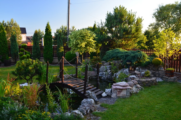 Mostek nad oczkiem wodnym