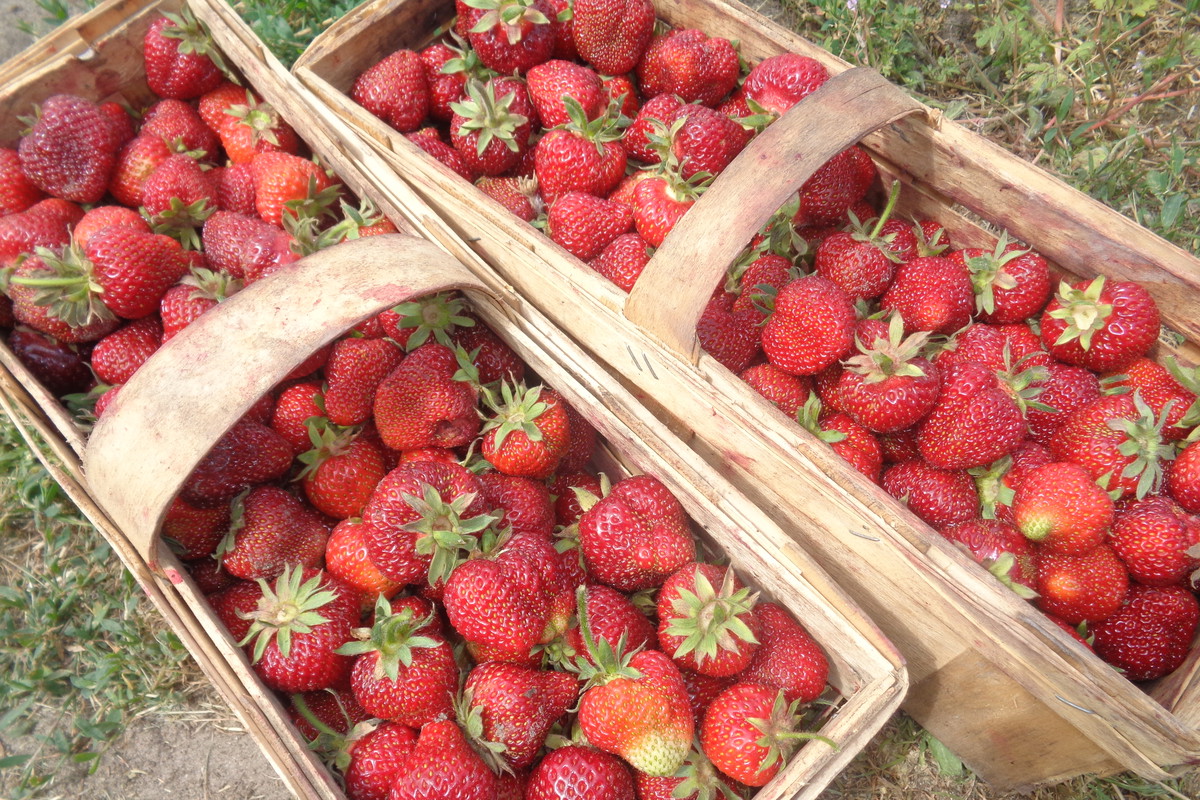 Możemy pozwolić sb na codzienne ich spożywanie.