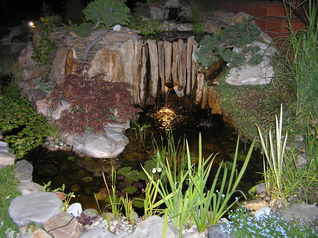 OGRÓD NOCĄ WIDOK NA GROTĘ 