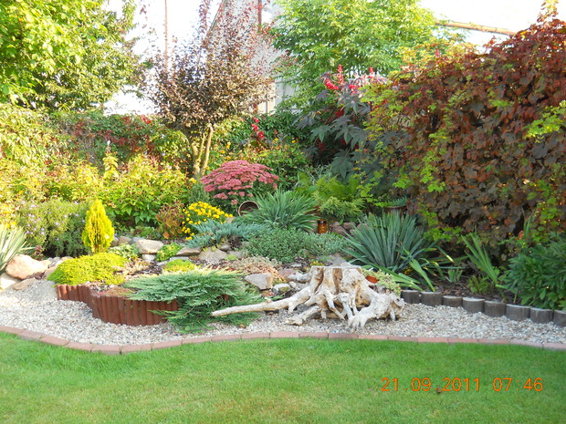 Skalniak w jesiennej szacie .