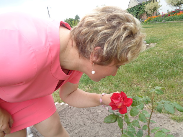 Ta róża przechodzi z czerwieni do miedzianych barw.