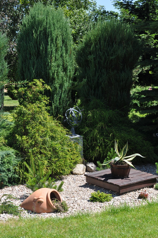 Ukryta w roślinkach przepompownia