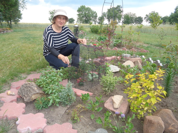 Uwielbiam byliny doglądać .