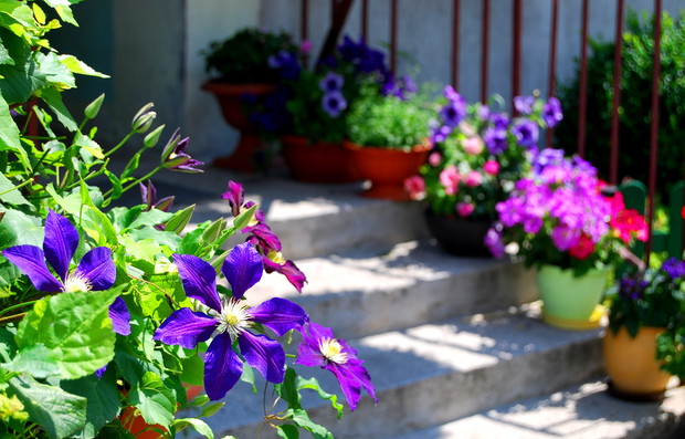 Wejście do klatki, zapraszam!