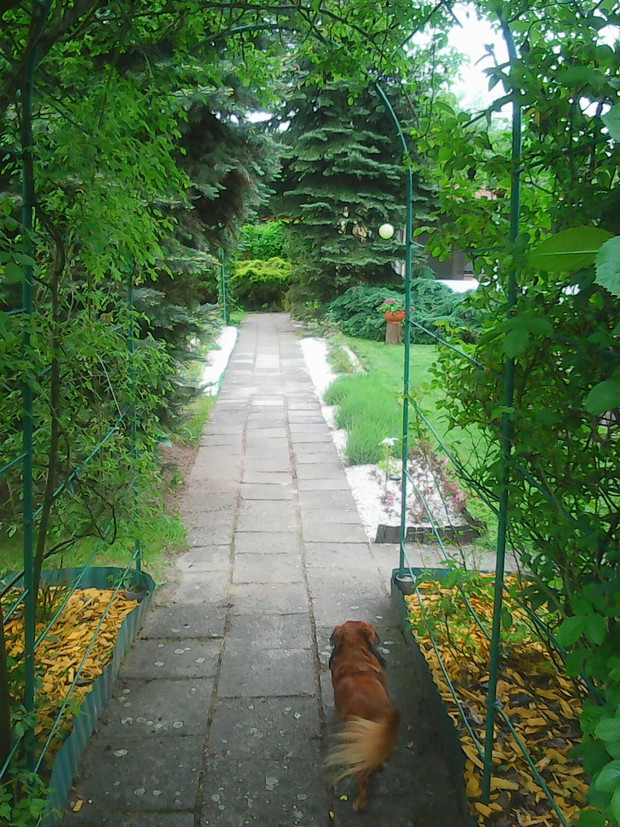 Wejście do mojego raju