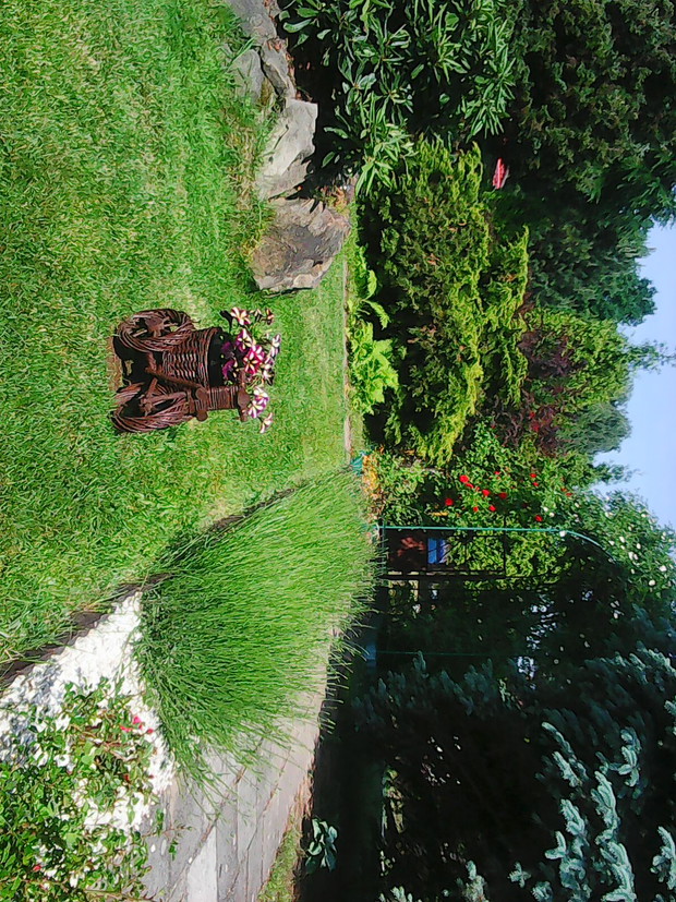 Widok z altany na łany lawendy.