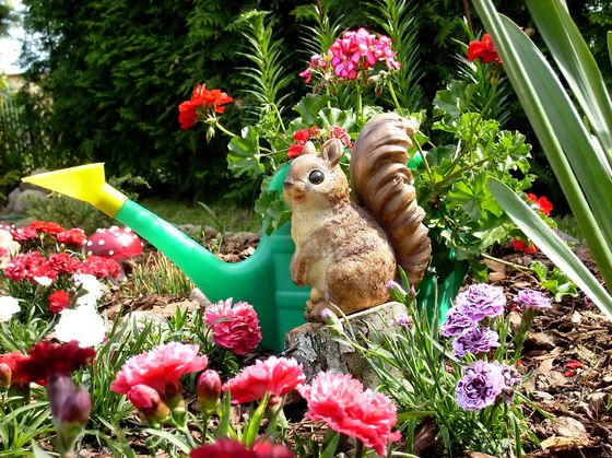 Wiewiórka siedząca na pieńku