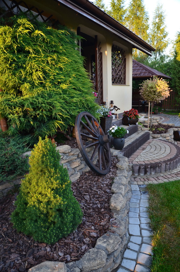 Zielona ściana tarasu