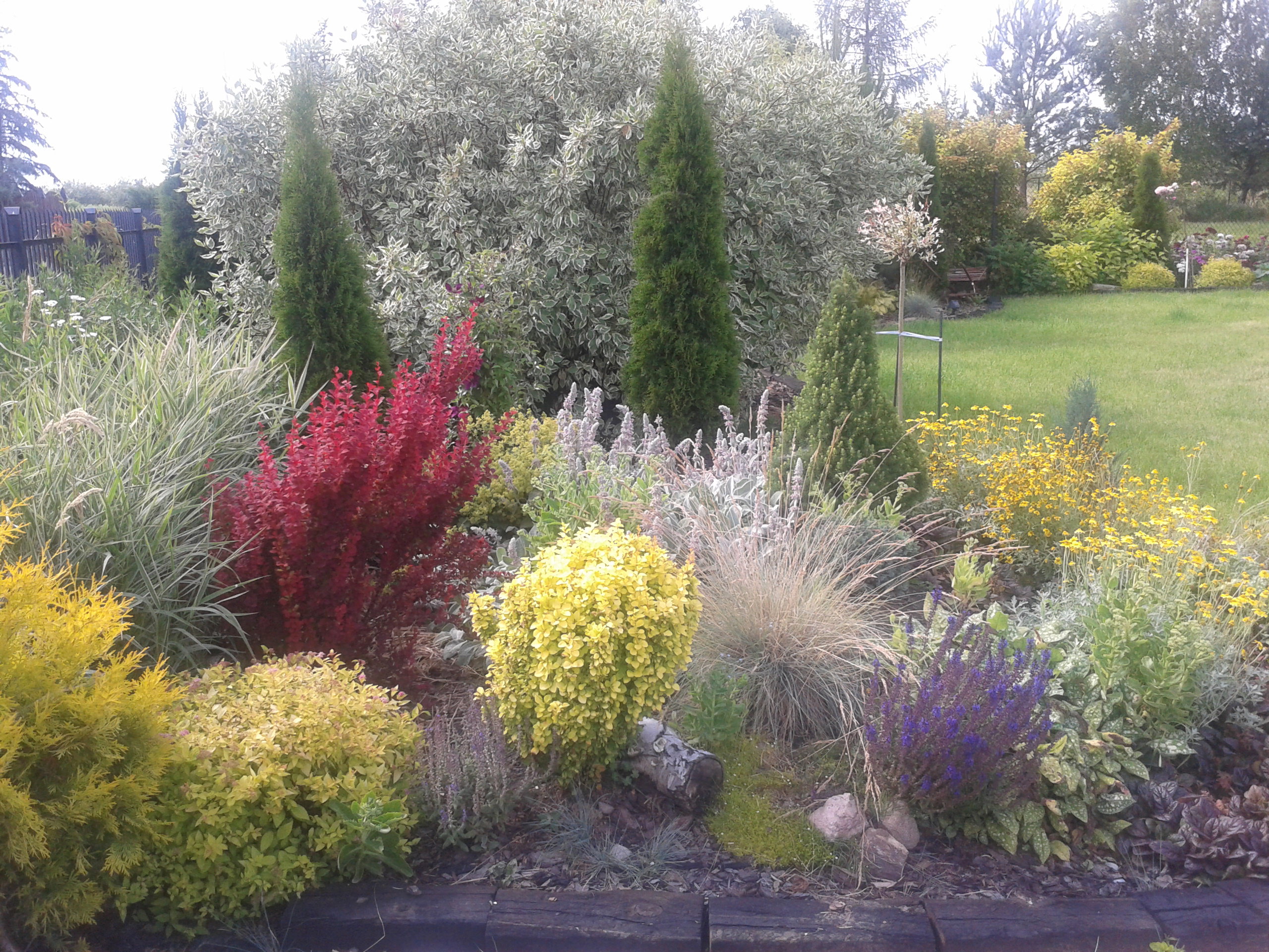 A to jedna z moich ulubionych rabatek...