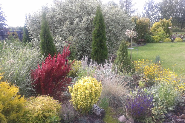 A to jedna z moich ulubionych rabatek...