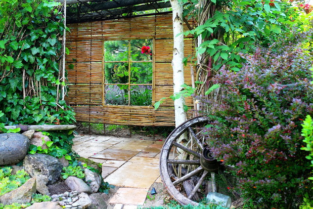 altanka z dachem winorośli