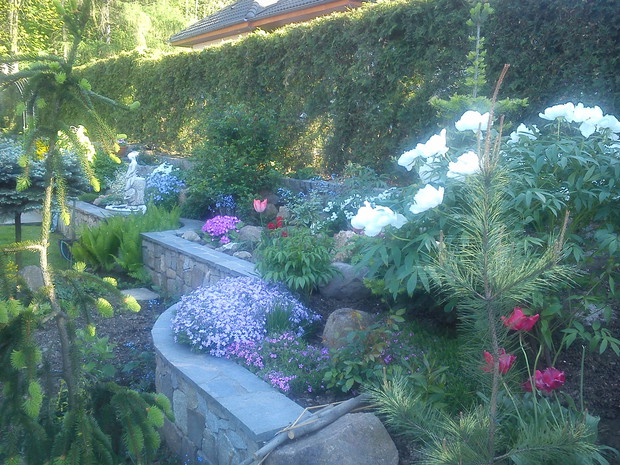 bok wejścia przy dróżce do domu