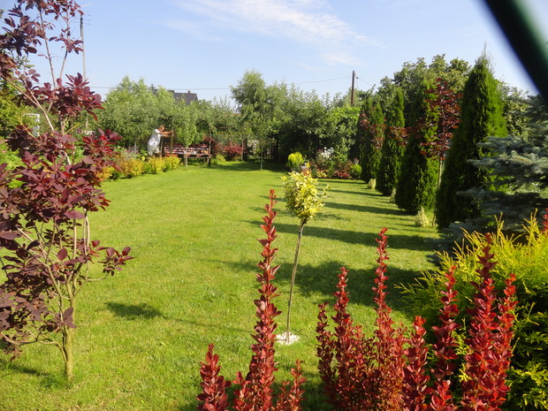 Część działki zajmuje trawnik. Przez letni okres służy dzieciom jako boisko do gry w badmintona i piłkę