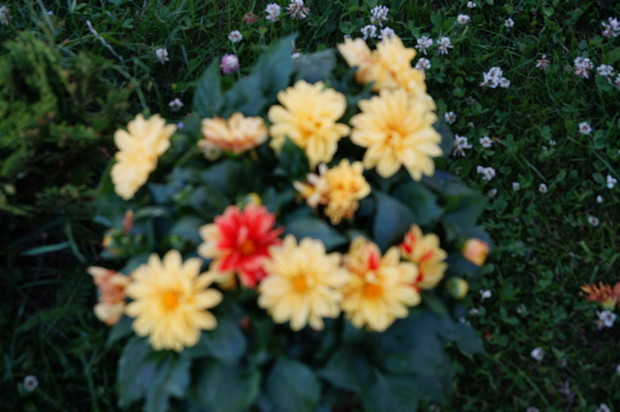 dziwna krzyzówka:-)