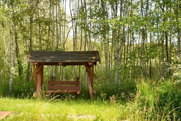 huśtawka w brzozach