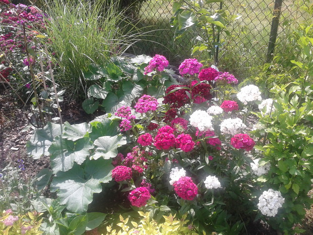 Im więcej kolorów, tym lepiej:).