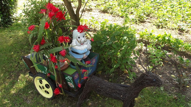 Kaktus pokrył się czerwonymi kwiatami. Jeleń i wózek wykonane zostały własnoręcznie.