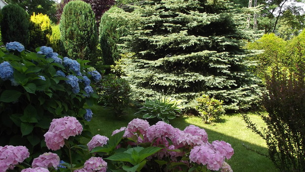 Każdy kawałek ogrodu jest zagospodarowany.