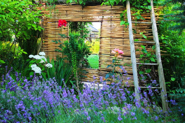 lawenda i własnoręcznie zrobiona altanka z bambusa