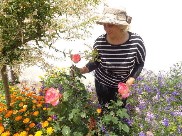 Lubię doglądać swoje róże.