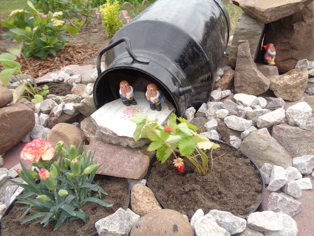  Maleńkie skrzaty zadomowiły się na moich rabatach. 