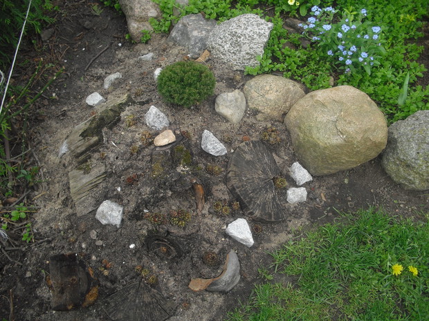 mój mini skalniaczek :)