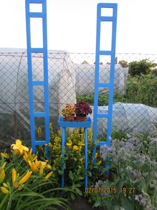 Mój pomysł na pnąca róże i powojnik.