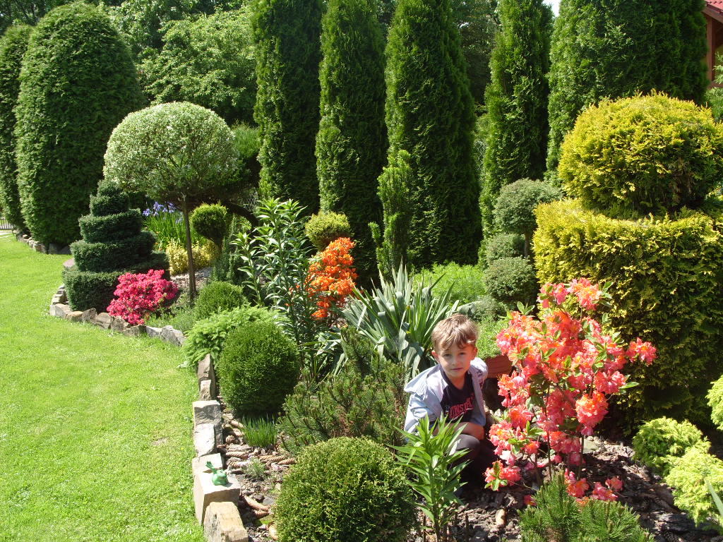 Mój syn ,tez kocha kwiaty