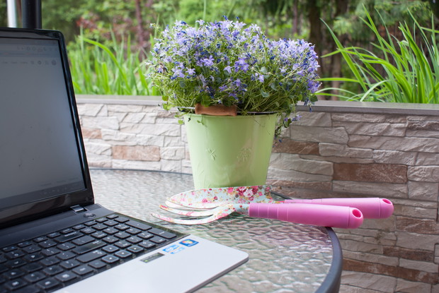 Moje ogrodowe centrum dowodzenia .