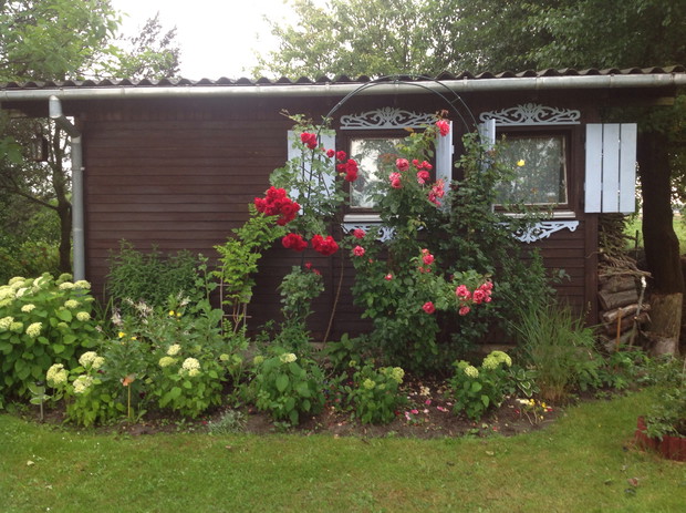 Niebieskie okiennice