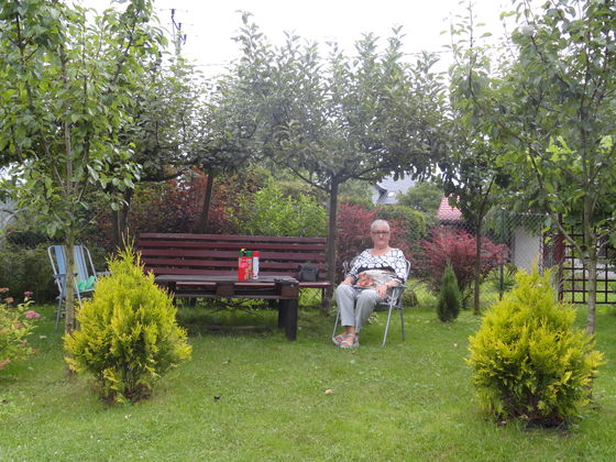 Odpoczynek w cieniu jabłoni