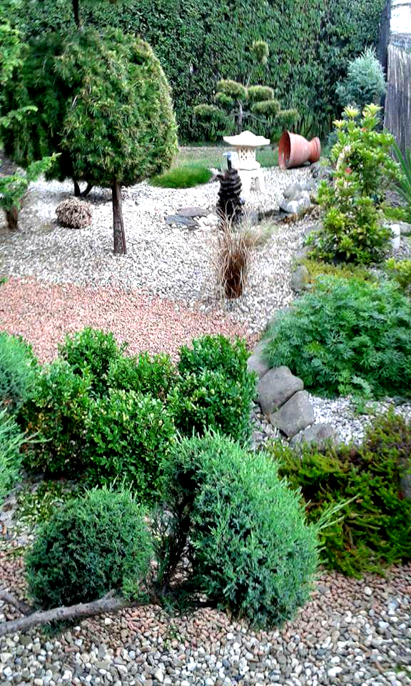 Ogród japoński.