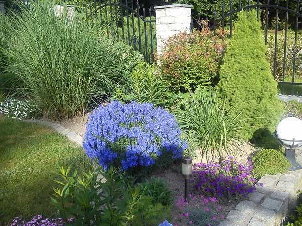 po zamknięciu bramki wejściowej