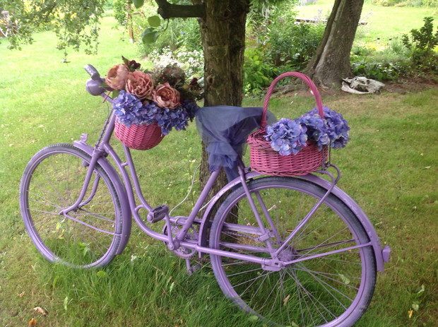 Pozostawiony przez ogrodnika.