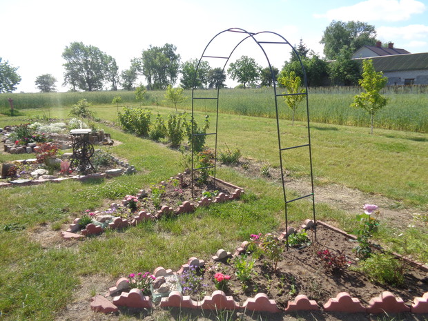 Rabata kwiatowa z pergolą . 