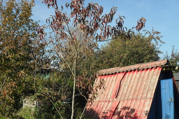 stara narzędziownia