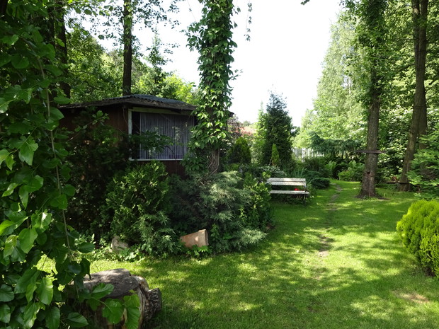 Strefa leśna z altanką i ogniskiem