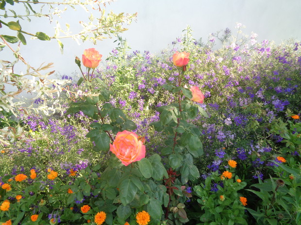 Swobodny styl barwnych kompozycji. 