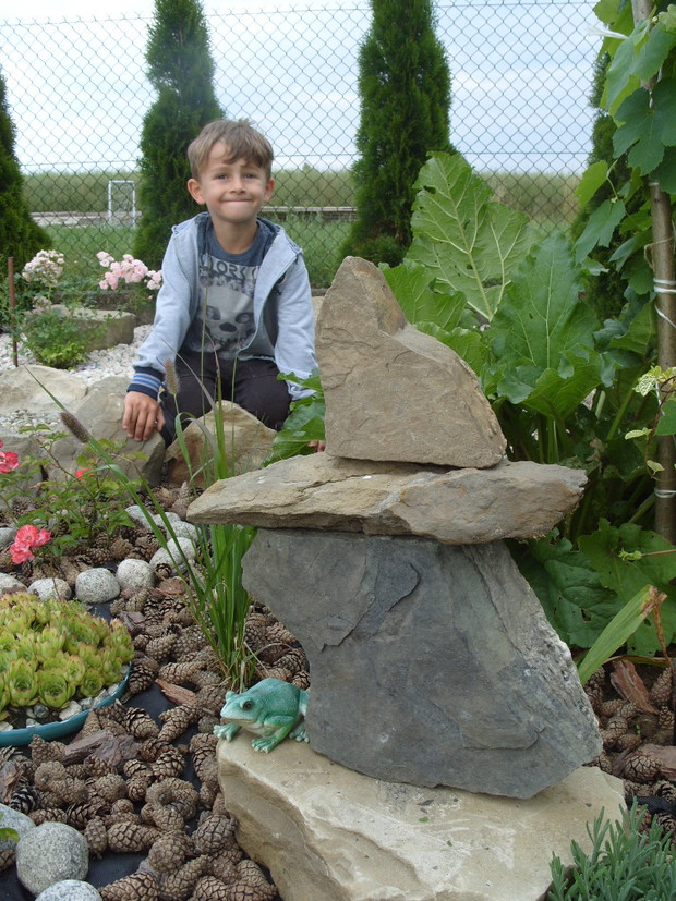 Synek obserwuje żabke