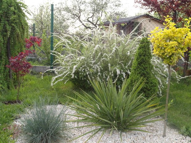 Szkoda, że tawuła norweska tak krótko kwitnie...