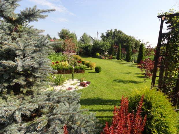 Tak było kiedyś, teraz się troszkę zagęściło... 