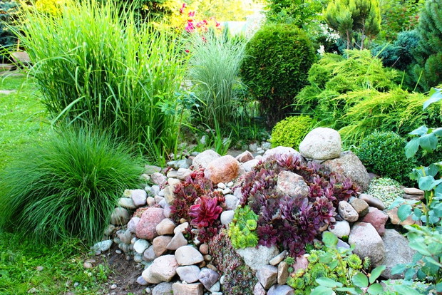 trawy na drugim planie