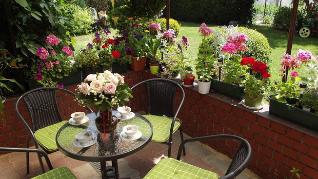 Tutaj możemy odpocząć wśród zapachu kwiatów.