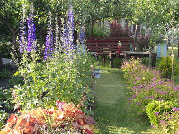 W głębi działki pod jabłoniami znajduje się miejsce do wypoczynku