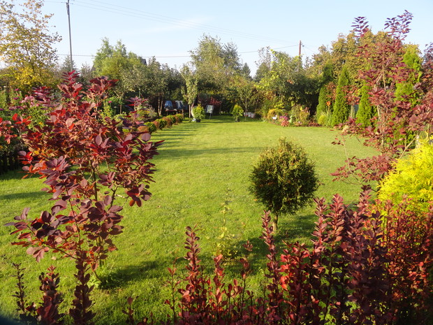 W słoneczny dzień... 