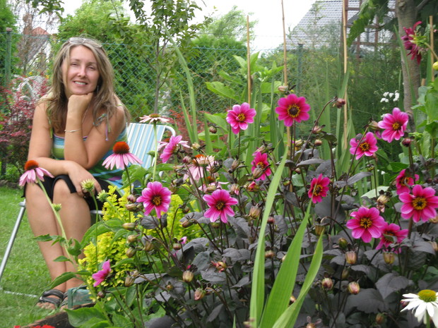 W towarzystwie dalii