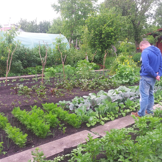 warzywniczek część druga